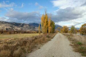 dirt trail beside a river in autumn photo