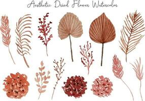 Aesthetic Dried Flower Watercolor Collection vector