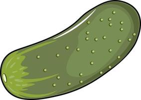 cucumber on a white background vector