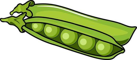 green peas isolated on white vector