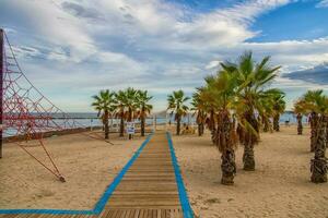 beach in alicante playa del postiguet spain path and palm trees on a sunny day photo