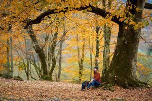 mujer en pantalones suéter se sienta debajo un árbol en otoño bosque y caído hojas modelo foto