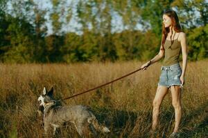 Woman and her husky dog happily walking and running in the grass in the field smile with teeth autumn sunset walk with a pet, traveling with a friend dog happiness photo