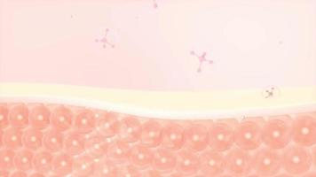 pele células e molecular estrutura, 3d Renderização video