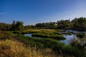 spanish landscape by the Gallego river in Aragon on a warm summer sun day with green trees and blue skies photo