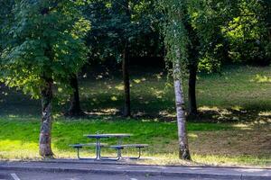 verano paisaje picnic banco entre el arboles en el parque en un soleado día foto