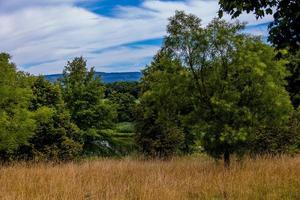 summer landscape with green trees, meadow, fields and sky with white clouds photo