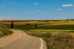 landscape asphalt road through fields and meadows in warm summer. day Aragon Spain photo