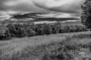 summer landscape with green trees, meadow, fields and sky with white clouds photo