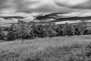 summer landscape with green trees, meadow, fields and sky with white clouds photo