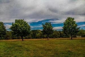 summer landscape with green trees, meadow, fields and sky with white clouds photo