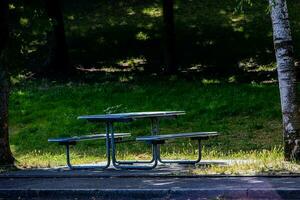 verano paisaje picnic banco entre el arboles en el parque en un soleado día foto