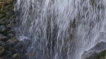 das Bewegung von ein klein Berg Wasserfall video