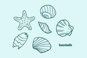 Hand drawn seashells set. Various sea shells types. Best for using in nautical and marine themed design vector