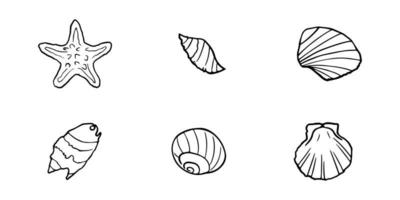 mano dibujado conchas marinas colocar. varios mar conchas tipos mejor para utilizando en náutico y marina temática diseños vector