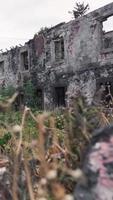 uitzicht vanuit een lage hoek in het gras van een oud verlaten stenen gebouw video