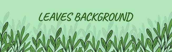 Green organic banner with leaves. Templates drawing natural pattern. Leaves, olive branch, green. vector