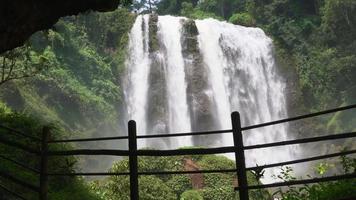 grande acqua autunno su il tropicale foresta, acqua ruscello e spruzzo acqua quando piovoso stagione. il metraggio è adatto per uso per avventura soddisfare media, natura e foresta metraggio sfondo. video