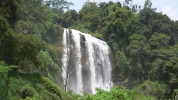 génial l'eau tomber sur le tropical forêt, l'eau courant et éclaboussure l'eau lorsque pluvieux saison. le métrage est adapté à utilisation pour aventure contenu médias, la nature et forêt métrage Contexte. video