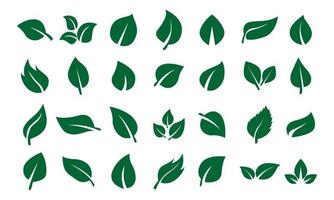 Green Leaf Icons Set Bundle. Set of green leaf icons. Green color. Leafs green color icon logo. vector