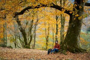 mujer caminante debajo un árbol en otoño bosque paisaje amarillo hojas otoño foto