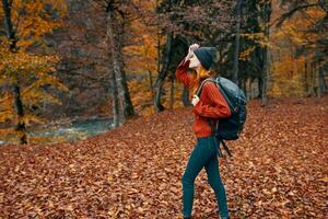 contento viaje mujer con mochila camina mediante el otoño parque en naturaleza cerca el río paisaje alto arboles suéter foto