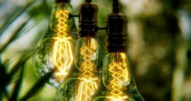 3d design render of trees with lights photo