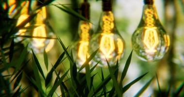 3d design render of trees with lights photo