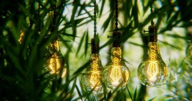 3d design render of trees with lights photo