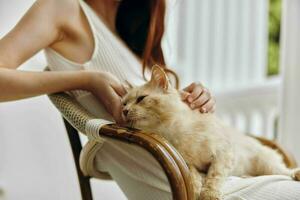 pretty woman sitting on the terrace with a cat animals photo