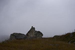 autumn landscape tall stones with evening weather travel fresh air photo