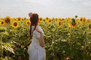 woman with two pigtails looking in the sunflower field flowering plants photo