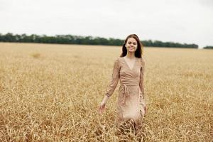 touching golden wheat field the farmer concerned the ripening of wheat ears in early summer harvest photo