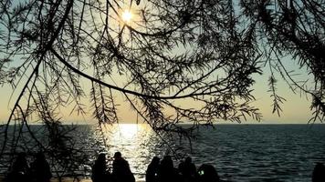 gens silhouette derrière feuilles et le le coucher du soleil video