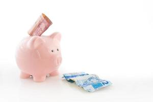 Pink piggy bank and brazilian currency isolated on a white background. photo