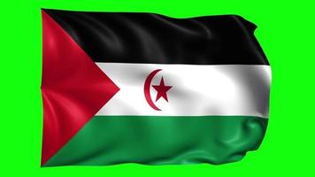 groen scherm 3d golvend vlag van sahrawi Arabisch democratisch republiek video