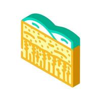 field yellow ripe wheat isometric icon vector illustration