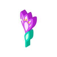 azafrán flor primavera isométrica icono vector ilustración
