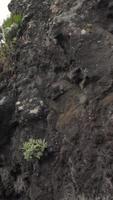 acantilado de piedra bordea una carretera de montaña video