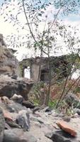 Rocks and grass in foreground video