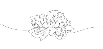 Single line Peony flower vector illustration. Beautiful line art for print. Minimalist style elegant drawing