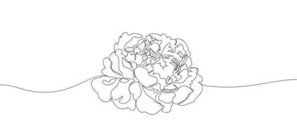 Single line Peony flower vector illustration. Beautiful line art for print. Minimalist style elegant drawing