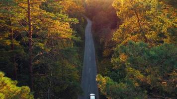 Aerial view on car driving through autumn forest road. Scenic autumn landscape video