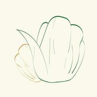 botanical floral flower line art for logo design. vector