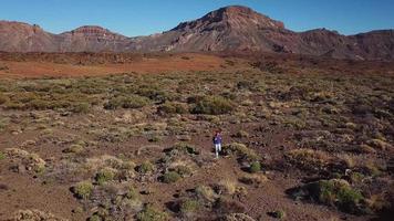 aéreo ver de activo caminante mujer excursionismo en teide nacional parque. caucásico joven mujer con mochila en tenerife, canario video