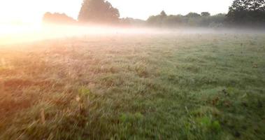 antenne visie van de weide en rivier- gedekt met mist Bij ochtendgloren. Oekraïne video