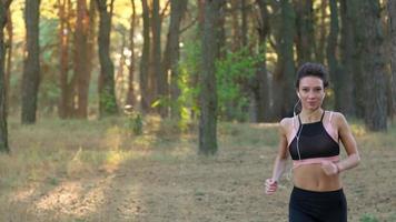 fechar acima do mulher com fones de ouvido corrida através a outono floresta às pôr do sol video