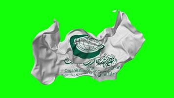 Organisation of Islamic Cooperation, OIC Flag Seamless Looping Flying in Wind, Looped Bump Texture Cloth Waving Slow Motion, Chroma Key, Luma Matte Selection of Flag, 3D Rendering video