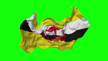 Brunei Flag Seamless Looping Flying in Wind, Looped Bump Texture Cloth Waving Slow Motion, Chroma Key, Luma Matte Selection of Flag, 3D Rendering video