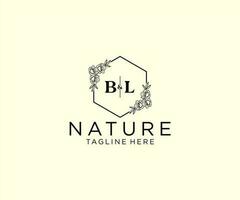 initial BL letters Botanical feminine logo template floral, editable premade monoline logo suitable, Luxury feminine wedding branding, corporate. vector